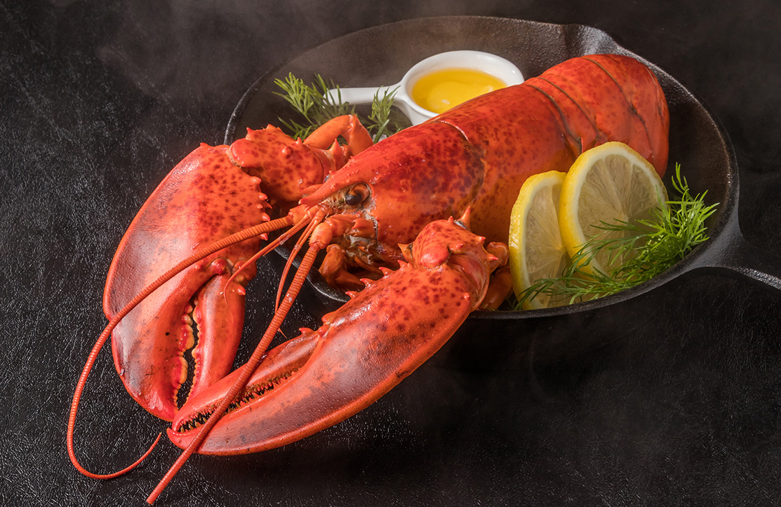 1匹で色々な楽しみ方が出来る世界中で人気のオマール海老